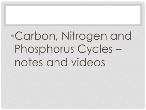 Carbon, Nitrogen and Phosphorus Cycles PPT