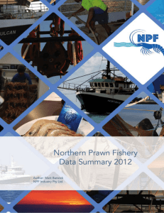 Catch and Effort Data for the Northern Prawn Fishery