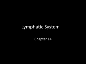 Lymphatic System - Plainview Schools