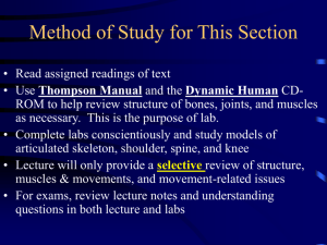 Biomech MS System (cont'd), Upper Extremity