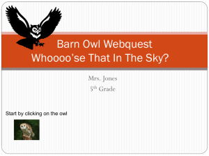 Owl Webquest
