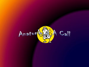 Anatomy of A Call - National Response Team
