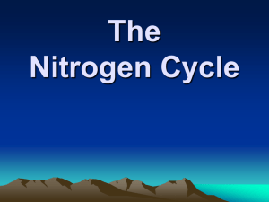 What is Nitrogen?