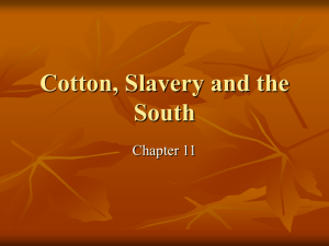 Ch 11 Cotton, Slavery and the South