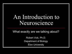 An Introduction to Neuroscience
