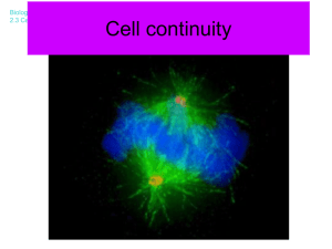 Cell continuity - Science at St. Dominics