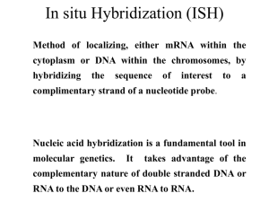 In situ Hybridization (ISH)