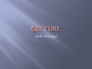 Culture - Aida's ePortfolio