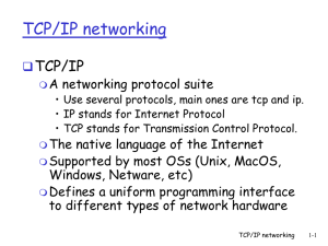 TCP/IP networking
