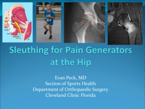 Sleuthing for Pain Generators at the Hip