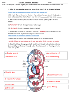 bypassing the pulmonary circuit