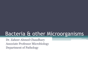 Bacteria & other Microorganisms