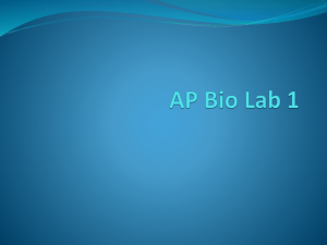 AP Bio Lab 1 Water Potential