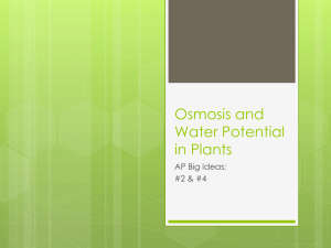 Osmosis and Water Potential in Plants