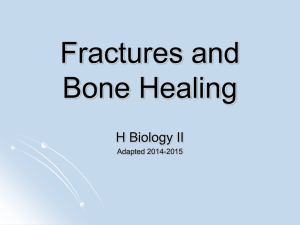 Fractures and Bone Healing PPT B