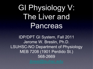 GI Physiology V: The Liver and Pancreas
