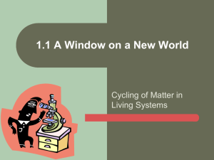1.1 A Window on a New World Early Microscopes and Microscopists