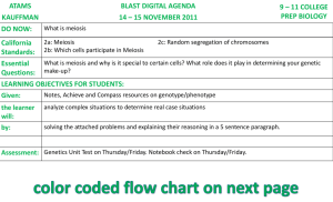 color coded flow chart on next page ATAMS BLAST DIGITAL