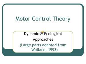 Motor Control Theory 1