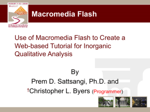 Use of Flash Macromedia to Develop Web