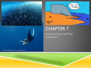 Chapter-7-Pelagic-Ecosystems-Slideshow