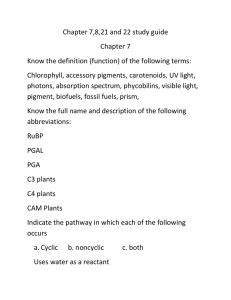 Chapter 7_8_21_22 Study Guide