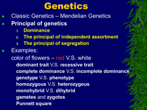 Genetics - Montclair State University