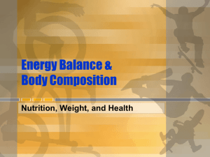 Energy Balance Exercise Template