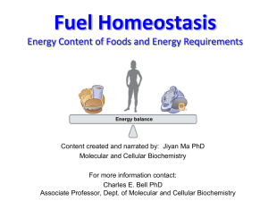Ma - Fuel Homeostasis