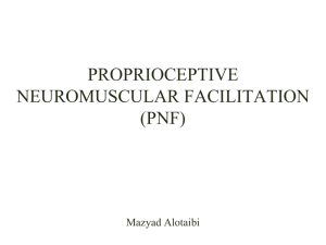 Proprioceptive neuromuscular facilitation