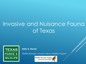 Invasive and Nuisance Fauna of Texas - University of Houston