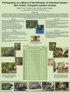 poster. - North American Box Turtle Conservation Workshop
