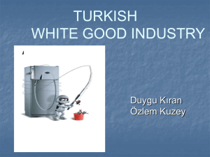 THE PROBLEMS OF TURKISH WHITE GOOD INDUSTRY AND