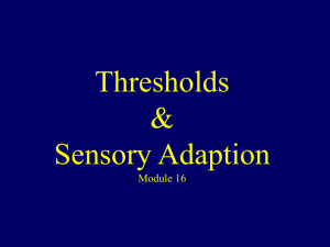 Thresholds & Sensory Adaptation