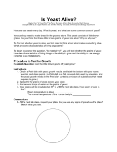 Is Yeast Alive? - uaslifescience