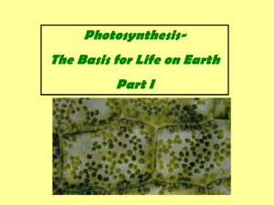 PhotosynthesisLight ReactionON
