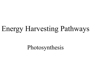 Energy Harvesting Pathways