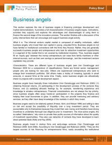 Business angels This section explores the role of business angels in
