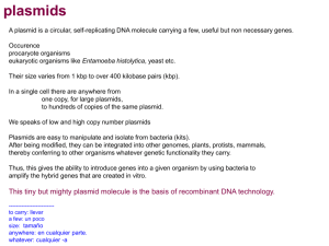 plasmids - Site GENEMOL 2013