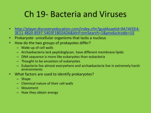 Ch 19- Bacteria and Viruses