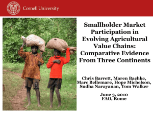 Smallholder Market Participation in Evolving Agricultural Value Chains