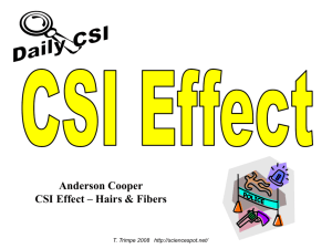 CSI Effect Hairs & Fibers