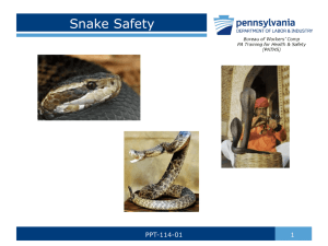 Snake Safety