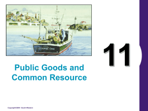 11 Public Goods and Common Resource