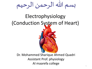 2-electrophysiology of heart