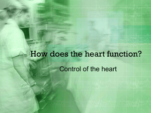 How does the heart function?