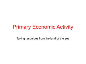 Primary Economic Activity