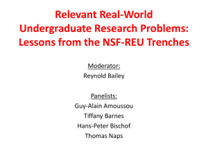 Lessons from the NSF-REU Trenches
