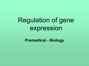 7_Premedical_Regulation_of_gene_expression