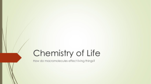 Chemistry of Life (Semester Final Study Guide